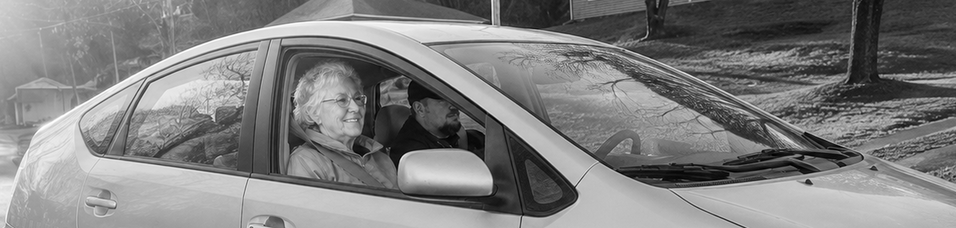 GreenCab passenger transportation
